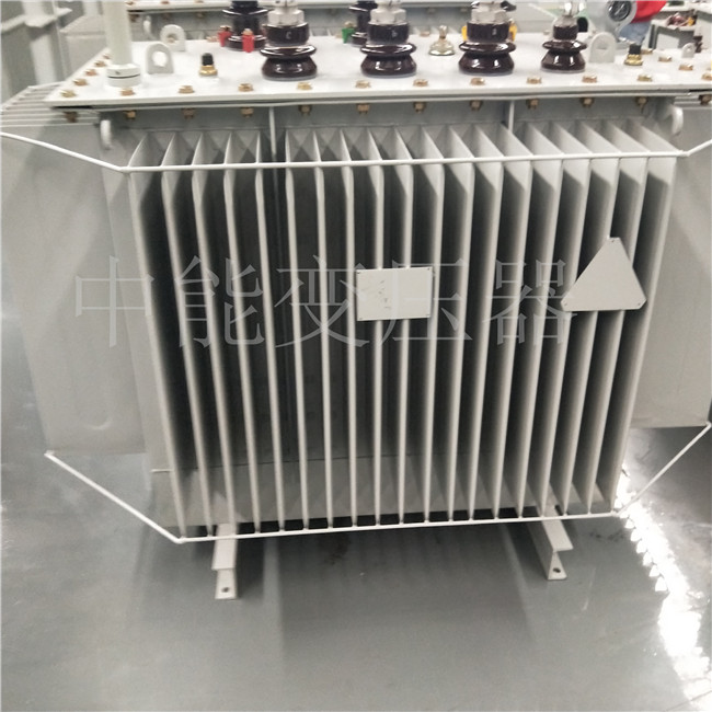 大理S20-800KVA变压器
