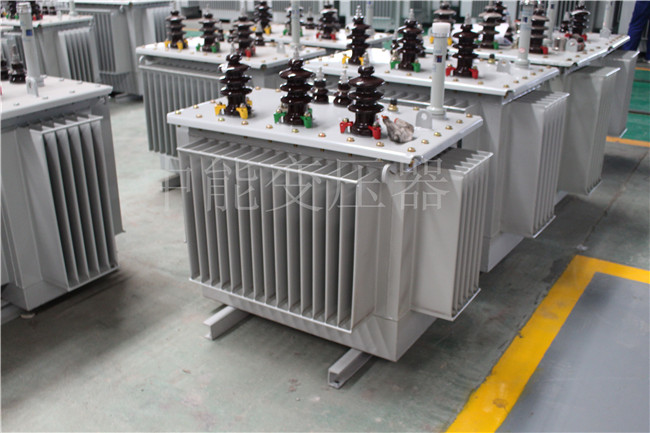 大理S22-250KVA/10KV变压器